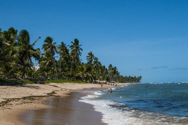 Tropischer Strand in Praia do Forte, Bahia, Brasilien - RUNF02364