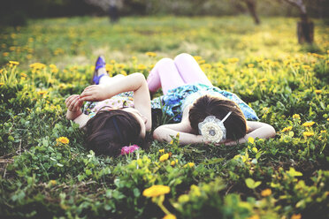 Girls talking and laying in field of flowers - BLEF05835