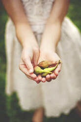 Close up of woman girl seed pods - BLEF05859