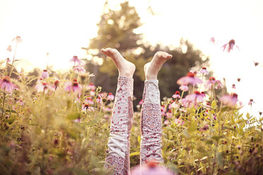 Beine eines Mädchens ragen in Wildblumen - BLEF05943