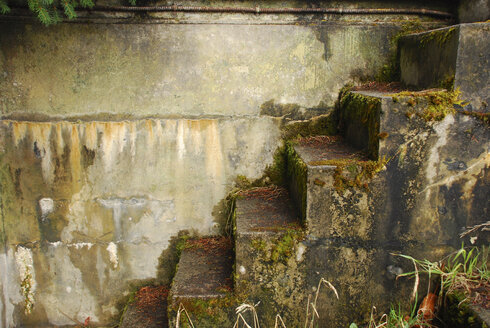 Nahaufnahme der moosbewachsenen Betontreppe - BLEF06155