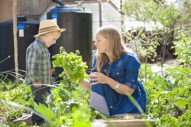 Mutter und Sohn bei der Gartenarbeit im Hinterhof - BLEF06209