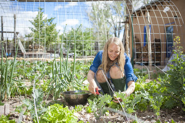 Woman gardening in backyard - BLEF06210