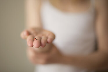 Close up of Caucasian girl holding ladybug - BLEF06242