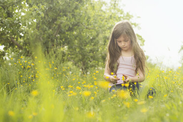 Kaukasisches Mädchen pflückt Blumen auf einem ländlichen Feld - BLEF06261