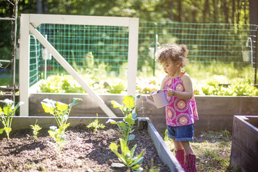 Mädchen bewässert Pflanzen im Garten - BLEF06363