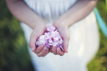 Caucasian girl holding flower petals - BLEF06414