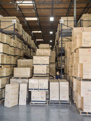 Caucasian worker examining cardboard boxes in warehouse - BLEF06564