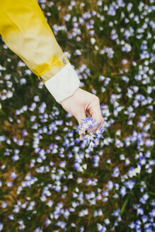 Nahaufnahme einer Frau, die Blumen auf einer Wiese pflückt - PSIF00293