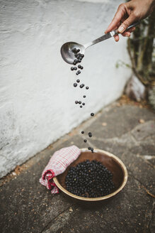 Nahaufnahme der Anordnung von Blaubeeren in einer Schüssel - PSIF00301