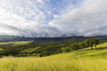 Blick vom Piilani Highway auf den Vulkan Haleakala, Maui, Hawaii, USA - FOF10814