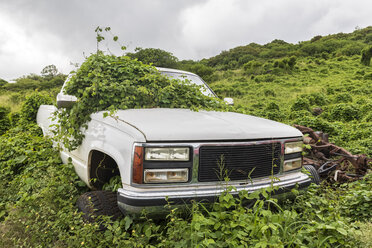 Ausrangiertes, von Pflanzen überwuchertes Auto, Maui, Hawaii, USA - FOF10819