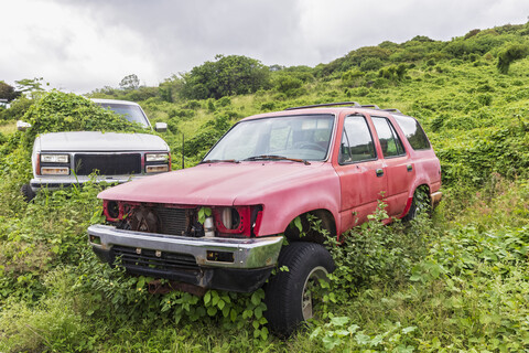 Ausrangierte Autos, Maui, Hawaii, USA, lizenzfreies Stockfoto