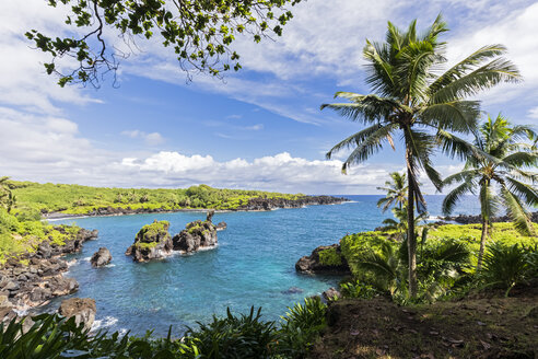 Waianapanapa State Park, Maui, Hawaii, USA - FOF10823