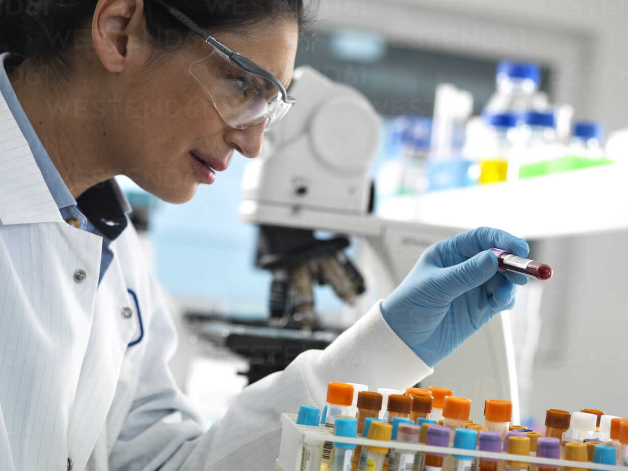 Labortechniker, der verschiedene menschliche Proben für medizinische Tests  im Labor vorbereitet, lizenzfreies Stockfoto