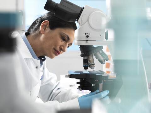 Lab technician preparing sample for analysis under a microscope in the laboratory stock photo