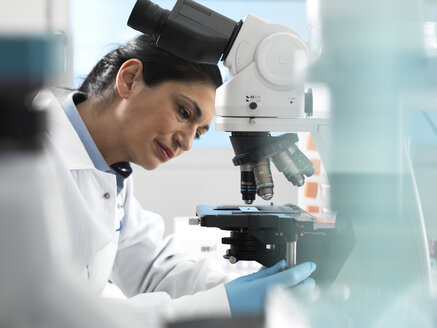 Lab technician preparing sample for analysis under a microscope in the laboratory - ABRF00394