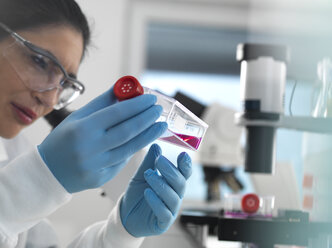 Forschung an menschlichen Zellen, Zellbiologin bei der Untersuchung eines Kolbens mit Stammzellen, die im Labor in rotem Wachstumsmedium kultiviert werden - ABRF00396