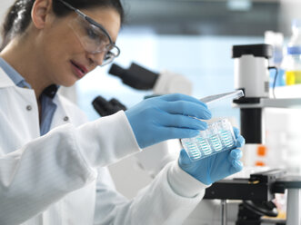 Biotech Research, Scientist viewing samples in multi well plate ready for analysis during a experiment in the laboratory - ABRF00404