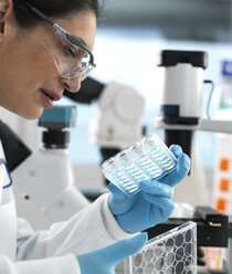 Biotech Research, Scientist viewing samples in multi well plate ready for analysis during a experiment in the laboratory - ABRF00406