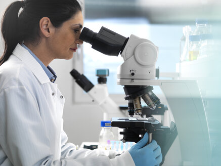 Biotech Research, Scientist examining samples under a microscope during a experiment - ABRF00411