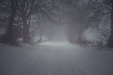 Schneebedeckter Weg im Winter, Eifel, Deutschland - ANHF00134