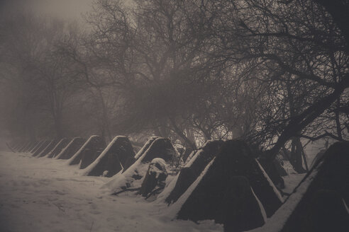 Panzersperren des Zweiten Weltkriegs im Winter, Siegfriedlinie, Eifel, Deutschland - ANHF00136