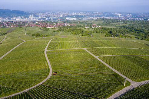Luftaufnahme der Weinberge am Kappelberg im Frühling, Bad Cannstadt, Fellbach, Deutschland - STSF02019