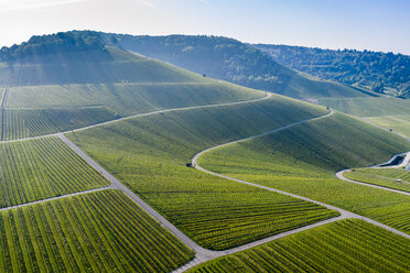 Luftaufnahme der Weinberge am Kappelberg im Frühling, Fellbach, Deutschland - STSF02021