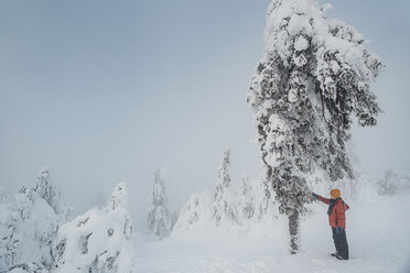 Junge berührt Baum in Winterlandschaft, Arbermandel, Erzgebirge, Deutschland - MJF02359