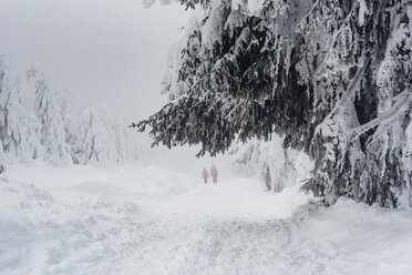 Zwei Wanderer in Winterlandschaft, Arbermandel, Erzgebirge, Deutschland - MJF02362