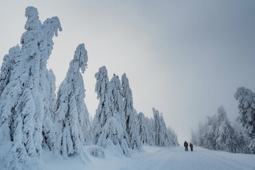 Two hikers at winter landscape, Arbermandel, Ore Mountains, Germany - MJF02364