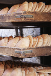 Fresh Baked Pita Bread - MINF11139