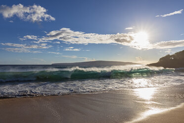 Wave against the sun, Big Beach, Makena Beach State Park, Maui, Hawaii, USA - FOF10843
