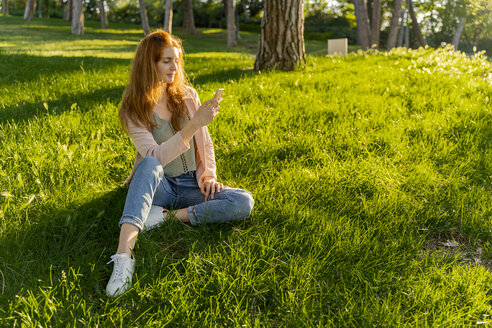 Junge rothaarige Frau benutzt Smartphone in einem Park - AFVF03174