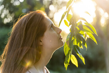 Young redheaded woman looking at leaves - AFVF03203