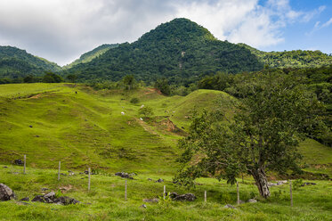 Berglandschaft in der Nähe der deutschen Stadt Pomerode, Brasilien - RUNF02421