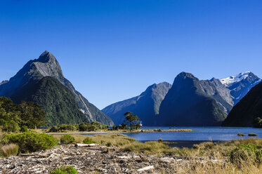 Die steilen Klippen des Milford Sound, Südinsel, Neuseeland - RUNF02448