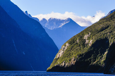 Early morning light in the Milford Sound, South Island, New Zealand - RUNF02451