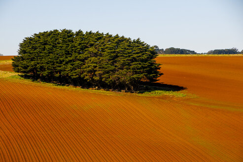 Farmland in der Nähe des Wilsons Promontory National Park, Victoria, Australien - RUNF02517