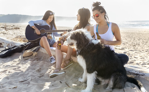 Three women with dog and guitar on the beach stock photo