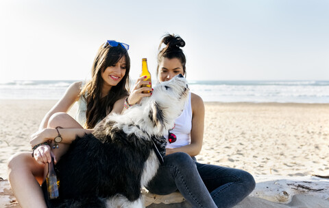 Zwei Frauen mit Hund und Bierflaschen am Strand, lizenzfreies Stockfoto