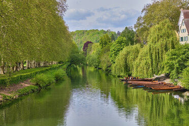 Stocherkähne auf dem Neckar, Tübingen, Baden Württemberg, Deutschland - MRF02017