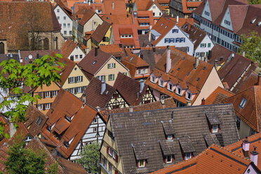 Townscape from above, Tuebingen, Baden-Wuerttemberg, Germany - MRF02020