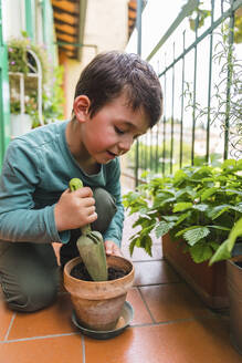 Kleiner Junge bei der Gartenarbeit auf dem Balkon - MGIF00533