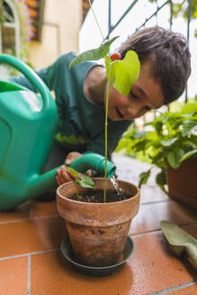 Little boy watering potted plant on balcony - MGIF00536