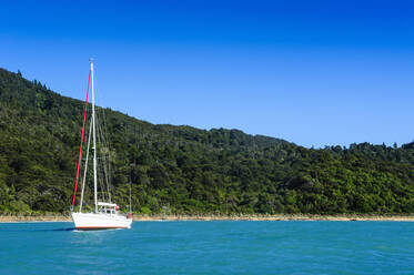 Segelboot vor Anker im Abel Tasman National Park, Südinsel, Neuseeland - RUNF02550