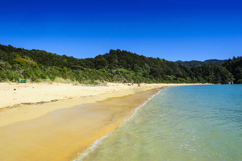 Long sandy beach, Abel Tasman National Park, South Island, New Zealand - RUNF02554