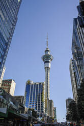 Downtown Auckland with its high rise buildings, New Zealand - RUNF02555