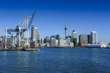 Skyline of Auckland, New Zealand - RUNF02557